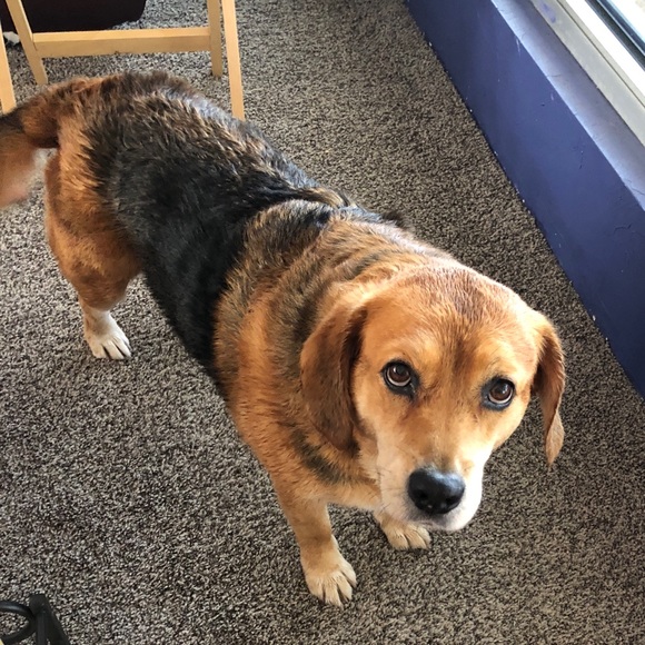 🌸POSH AMBASSADOR, JILL🌸 - Picture 4 of 7